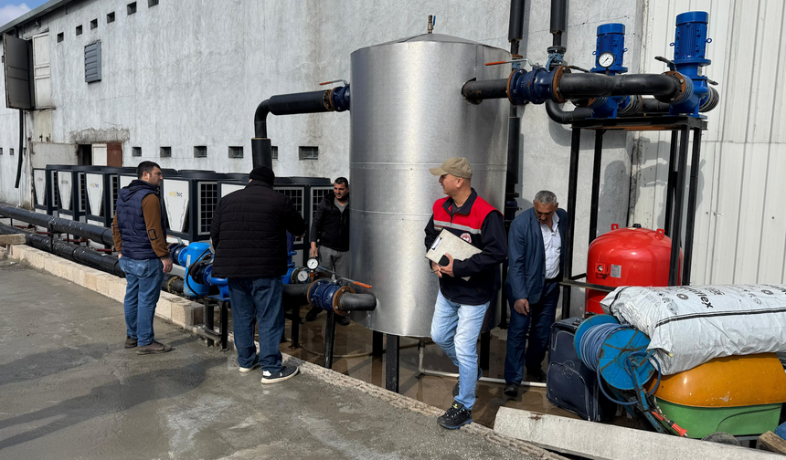 Alaplı’da Dereye Atılan Tavuk İddiasına Çiftlikten Yanıt