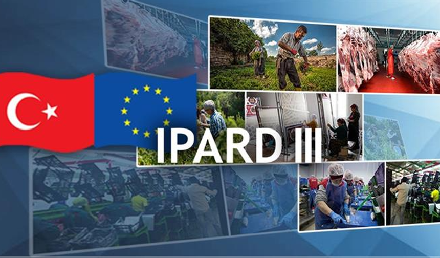 Kırsala Dev Hibe Desteği: 241 Milyon Avroluk Takvim Açıklandı