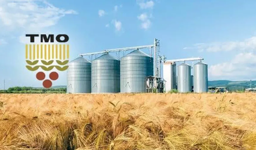 TMO'dan Çeltik Üreticisine 97 Milyon TL’lik Ödeme Müjdesi