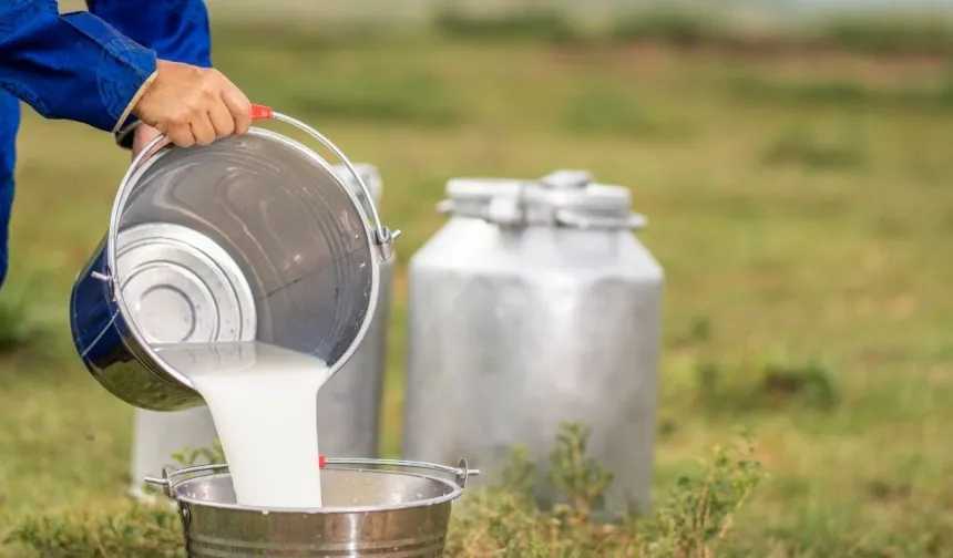 Trakya’da Süt Üreticileri İçin Yeni Dönem: Kooperatif Hamlesi