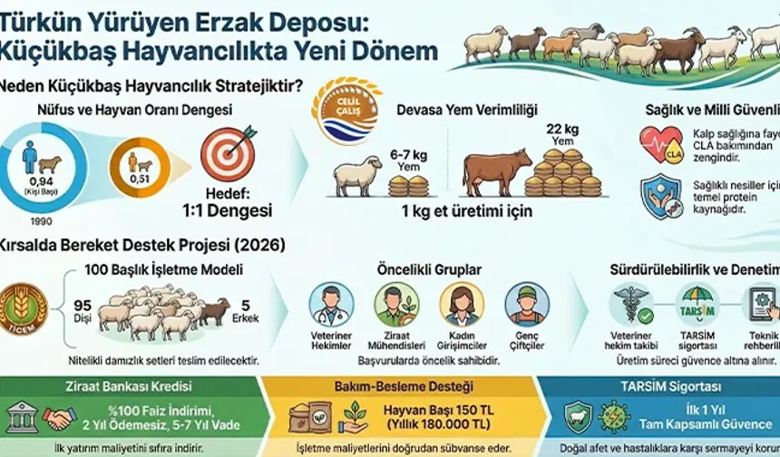 Hayvancılık Ülkenin Gerçek “Kaskosu”