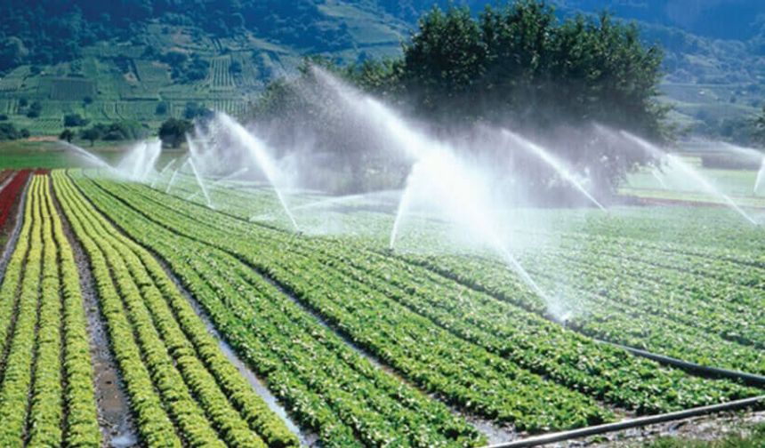 Tarımda Hibe Desteği Genişledi! Yeni Alanlar Belirlendi