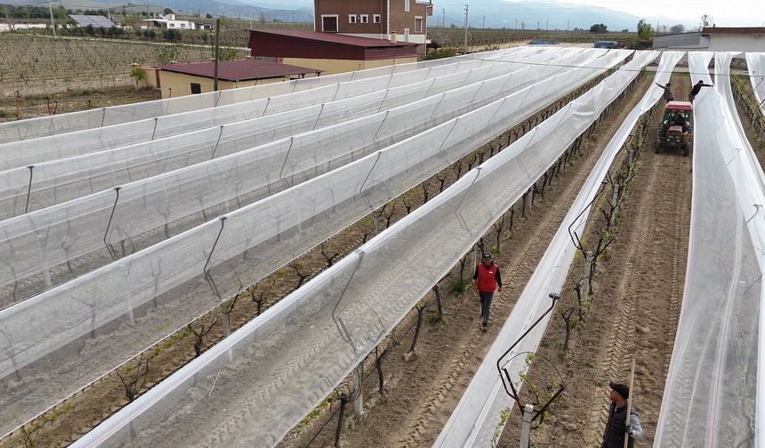 Kadın Girişimciden Tarımda Akılcı Çözüm