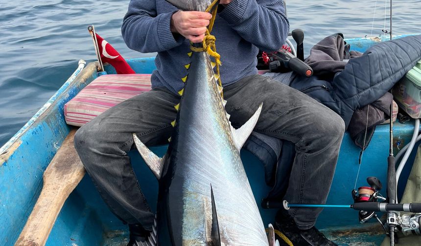 Dev Orkinos Sevinci Kısa Sürdü: Rekor Avın Ardından Gelen Şok Ceza