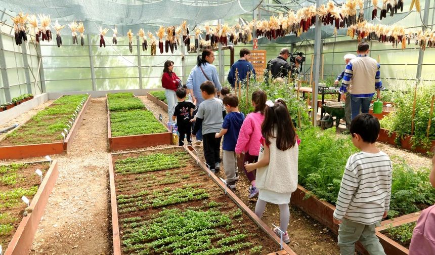 Osmangazi’de Minik Eller Toprakla Buluştu: Tohumdan Sofraya Uygulamalı Eğitim