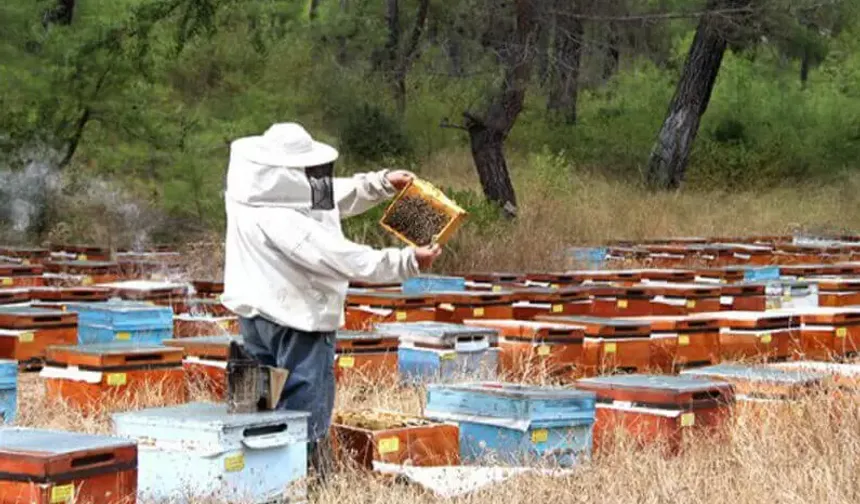 Soğuk Hava Arıcıyı Vurdu, Verim Alarmı Verildi