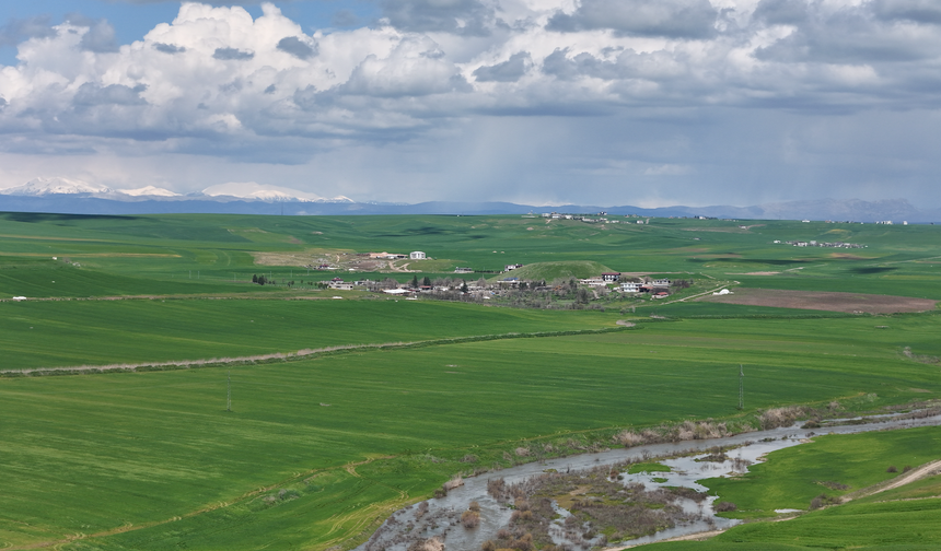 250 DÖNÜM TARLA SABOTAJ İDDİASIYLA GÜNDEMDE