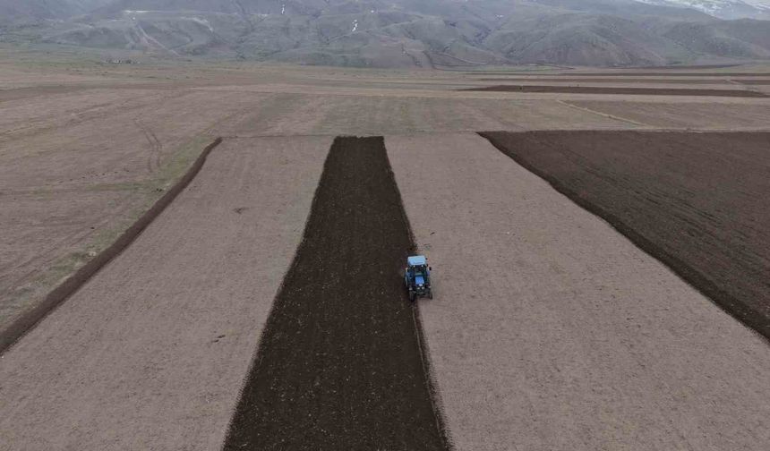 Iğdır’da Üretim Atağı! Hububatta Rekor Artış Bekleniyor