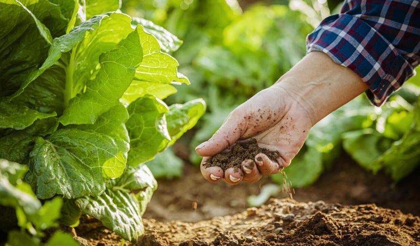 Tarımda Ezber Bozan Model Sahaya İndi