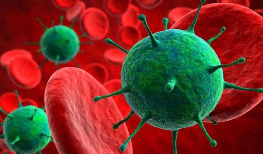 Gizemli Gemi Virüsü Alarmı: Hantavirüs Türkiye'yi Tehdit Ediyor mu?