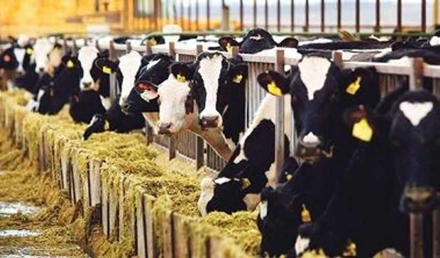 Çiftçiye Dev Destek: 3,7 Milyar TL Hesaplara Yatıyor!