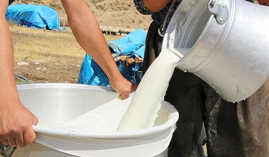 Süt Sektöründe Fiyat Uçurumu: Üretici Maliyetin Altında Eziliyor!