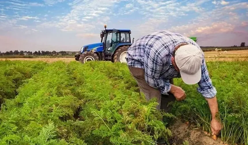 TARIMSAL ÜRETİM YAPAN NÜFUSUN YAŞ ORTALAMASI