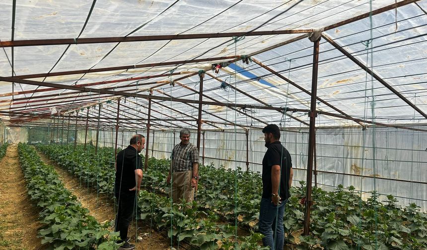 Yüksekova’da saha mesaisi: Çiftçinin her aşamada yanındalar!