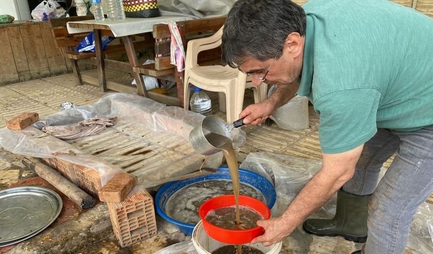 Aydın'da Bağ Bozumu: Asırlık Yöntemle Pekmez Mesaisi